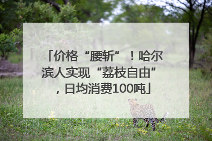 价格“腰斩”！哈尔滨人实现“荔枝自由”，日均消费100吨