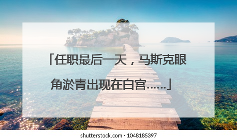 任职最后一天，马斯克眼角淤青出现在白宫……