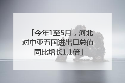 今年1至5月，河北对中亚五国进出口总值同比增长1.1倍