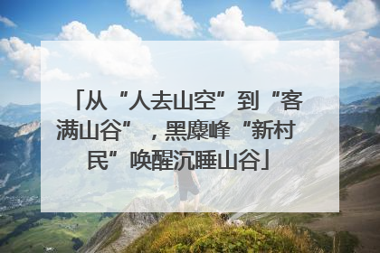 从“人去山空”到“客满山谷”，黑麋峰“新村民”唤醒沉睡山谷