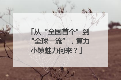 从“全国首个”到“全球一流”，算力小镇魅力何来？