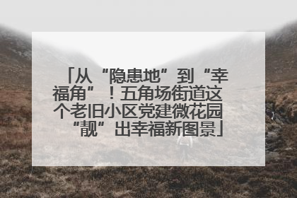 从“隐患地”到“幸福角”！五角场街道这个老旧小区党建微花园“靓”出幸福新图景