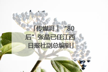传媒湃︱“80后”张晶已任江西日报社副总编辑
