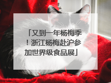 又到一年杨梅季！浙江杨梅赴沪参加世界级食品展