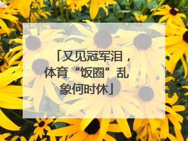 又见冠军泪，体育“饭圈”乱象何时休