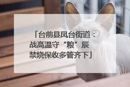 台前县凤台街道：战高温守“粮”辰 禁烧保收多管齐下
