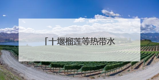 十堰榴莲等热带水果价格持续走低！商家：预计还能再降