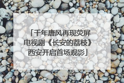 千年唐风再现荧屏 电视剧《长安的荔枝》西安开启首场观影