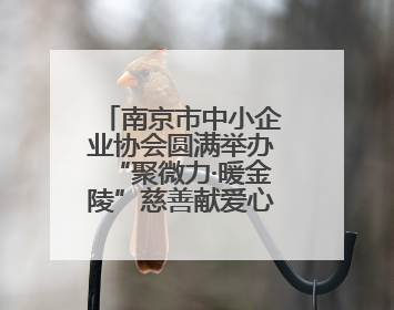 南京市中小企业协会圆满举办“聚微力·暖金陵”慈善献爱心暨义卖活动