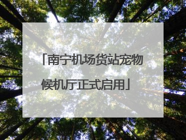 南宁机场货站宠物候机厅正式启用