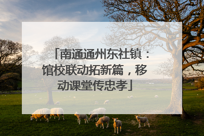 南通通州东社镇：馆校联动拓新篇，移动课堂传忠孝