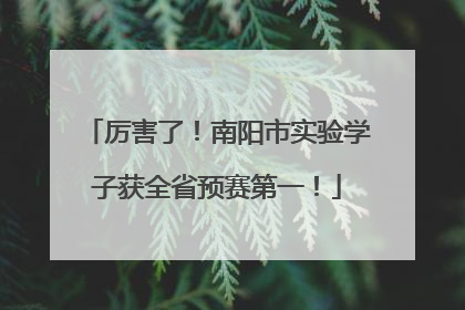 厉害了！南阳市实验学子获全省预赛第一！