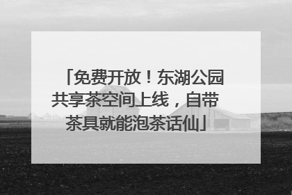 免费开放！东湖公园共享茶空间上线，自带茶具就能泡茶话仙
