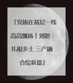 党旗在基层一线高高飘扬丨刘影：扎根乡土 三产融合绘新景