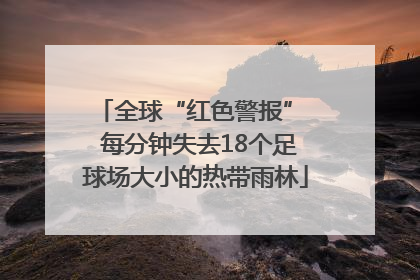 全球“红色警报”  每分钟失去18个足球场大小的热带雨林