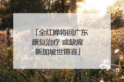 全红婵将回广东康复治疗 或缺席新加坡世锦赛