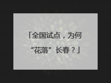 全国试点，为何“花落”长春？