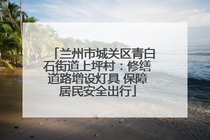 兰州市城关区青白石街道上坪村：修缮道路增设灯具 保障居民安全出行