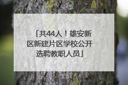 共44人！雄安新区新建片区学校公开选聘教职人员