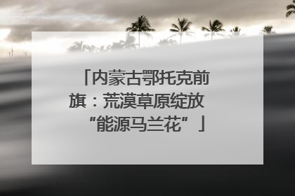 内蒙古鄂托克前旗：荒漠草原绽放“能源马兰花”