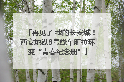 再见了 我的长安城！西安地铁8号线车厢拉环变“青春纪念册”