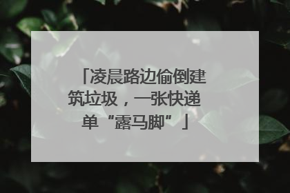 凌晨路边偷倒建筑垃圾，一张快递单“露马脚”