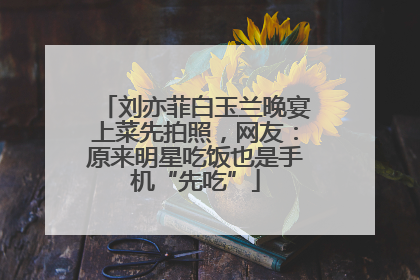 刘亦菲白玉兰晚宴上菜先拍照，网友：原来明星吃饭也是手机“先吃”