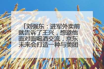 刘强东：进军外卖前就告诉了王兴，想邀他面对面喝酒交流，京东未来会打造一种与美团不同的商业模式