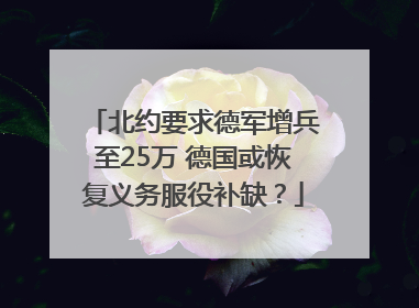 北约要求德军增兵至25万 德国或恢复义务服役补缺？