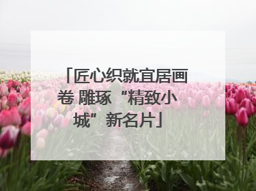 匠心织就宜居画卷 雕琢“精致小城”新名片