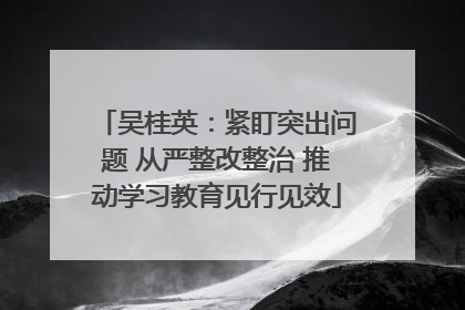 吴桂英：紧盯突出问题 从严整改整治 推动学习教育见行见效