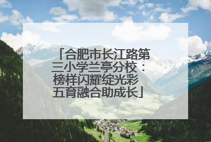 合肥市长江路第三小学兰亭分校：榜样闪耀绽光彩 五育融合助成长