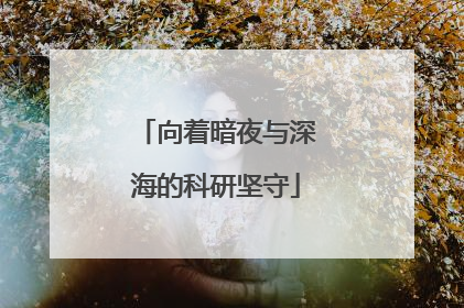 向着暗夜与深海的科研坚守