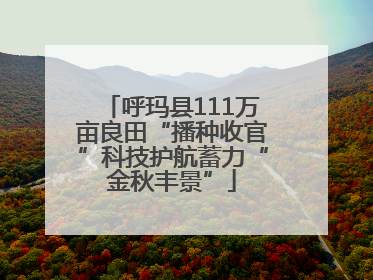 呼玛县111万亩良田“播种收官”科技护航蓄力“金秋丰景”