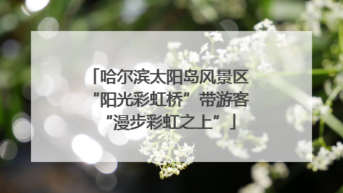 哈尔滨太阳岛风景区“阳光彩虹桥”带游客“漫步彩虹之上”