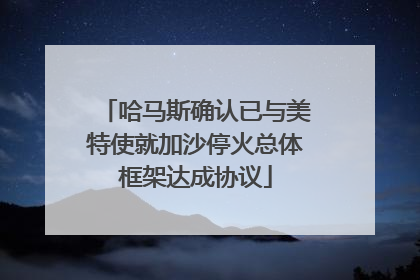 哈马斯确认已与美特使就加沙停火总体框架达成协议