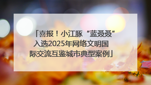 喜报！小江豚“蓝叒叒”入选2025年网络文明国际交流互鉴城市典型案例