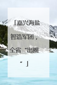 嘉兴海盐智造军团，全省“出圈”