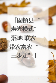 固镇县“寿光模式”落地 联农带农富农“三步走”