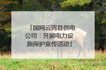 国网云霄县供电公司：开展电力设施保护宣传活动