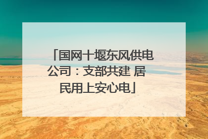 国网十堰东风供电公司：支部共建 居民用上安心电