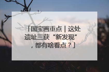 国宝画重点｜这处遗址三获“新发现”，都有啥看点？