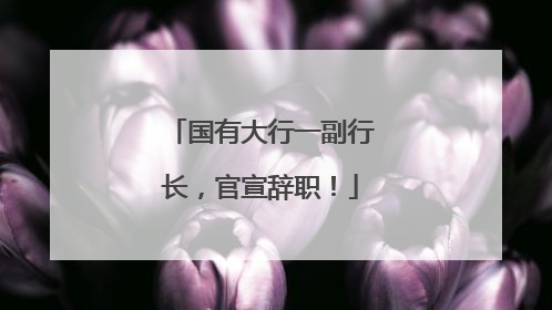国有大行一副行长，官宣辞职！