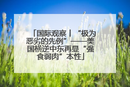 国际观察丨“极为恶劣的先例”——美国横逆中东再显“强食弱肉”本性