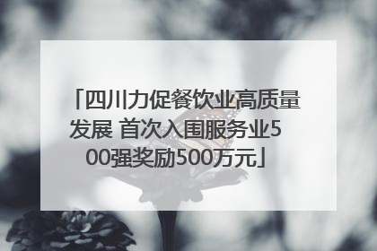 四川力促餐饮业高质量发展 首次入围服务业500强奖励500万元