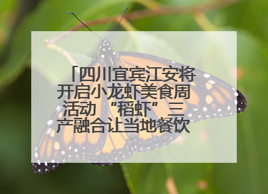 四川宜宾江安将开启小龙虾美食周活动 “稻虾”三产融合让当地餐饮商户充满期待
