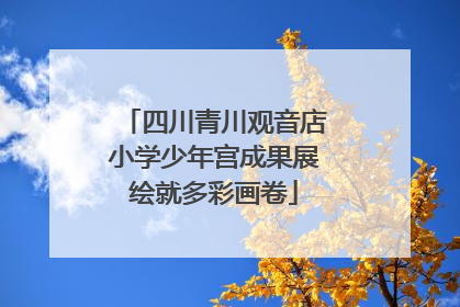 四川青川观音店小学少年宫成果展绘就多彩画卷