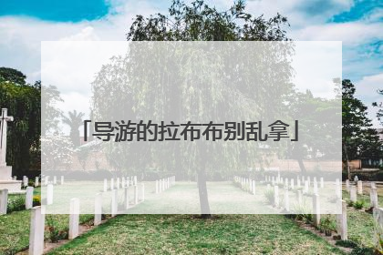 导游的拉布布别乱拿