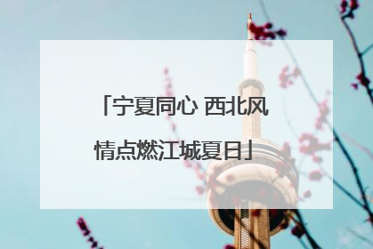 宁夏同心 西北风情点燃江城夏日
