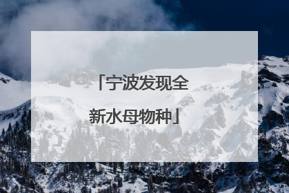 宁波发现全新水母物种